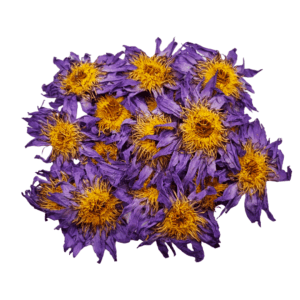 Botanical Herbs